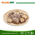 Maschinell trocknender Shiitake